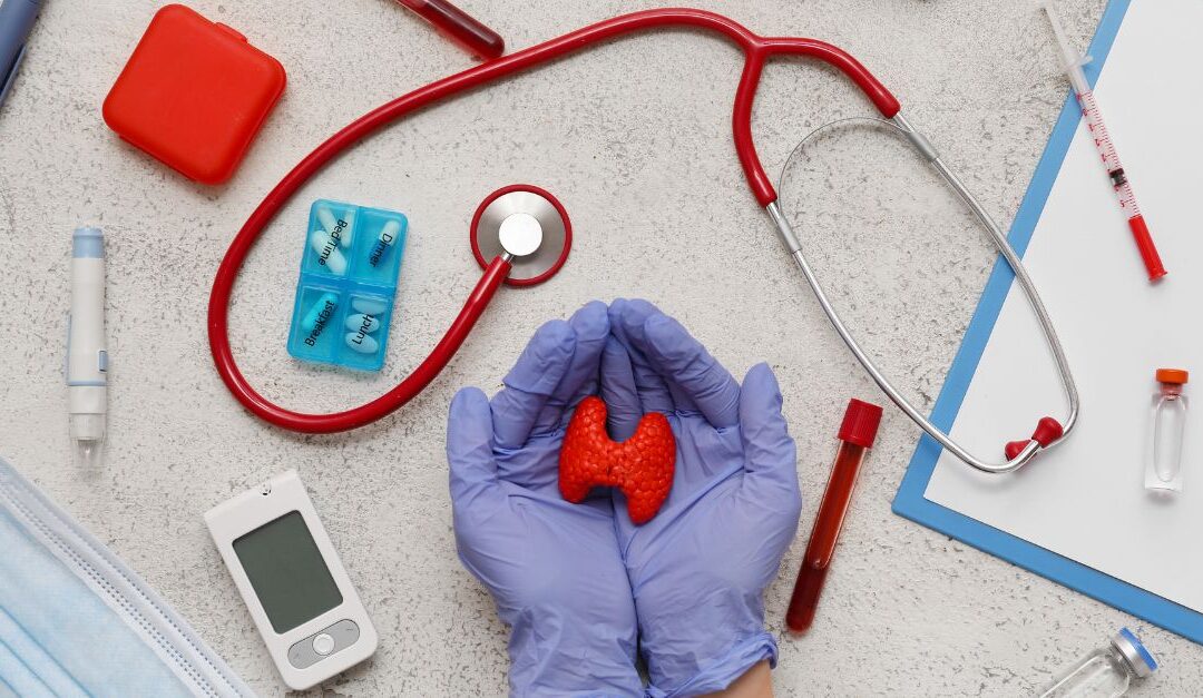 ¿Dónde comprar insumos médicos al por mayor en República Dominicana?